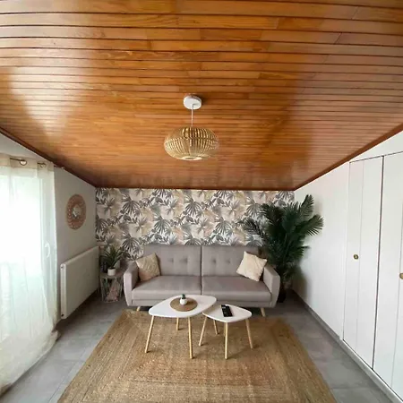 Cosy Avec Clim Et Jardin Centre De Lejlighed *